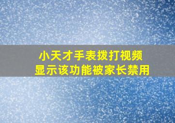 小天才手表拨打视频 显示该功能被家长禁用